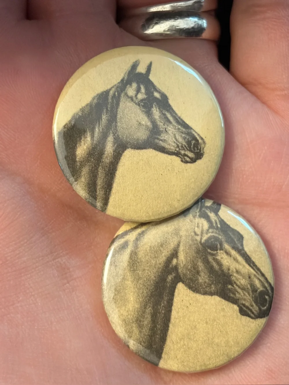 2 Horse Head Motif Buttons Badges Pins Brooches Equestrian Animal Jewelry